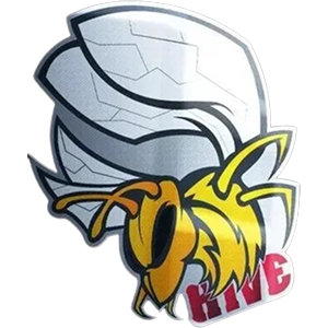 Hive